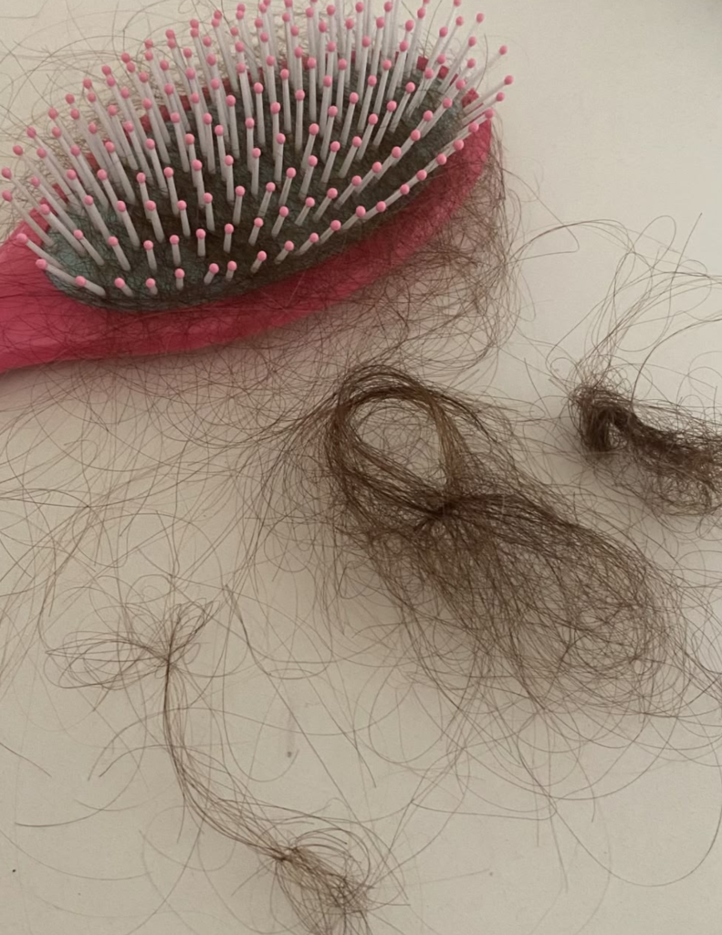 How to Stop Hair Fall: 8 Simple Tips That Work how to stop hair fall 8 simple tips that work